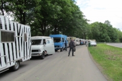 Bild-12